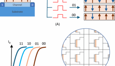 Dual-Bit FeFET for enhanced storage and endurance