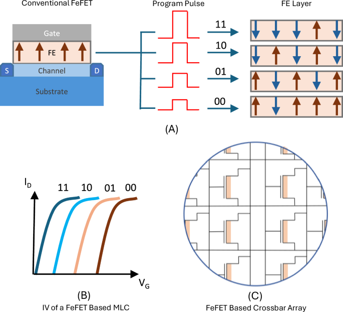 Dual-Bit FeFET for enhanced storage and endurance
