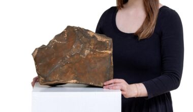 Someone paid $5.3 million for a piece of Mars