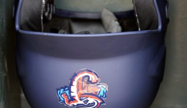 Jacksonville Jumbo Shrimp-Charlotte: July 1 series preview