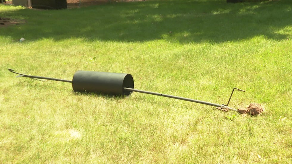 Black bear sightings in the Stoughton area caught on camera.