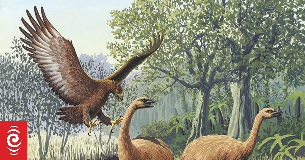 Sir Peter Jackson backs project to de-extinct moa, experts cast doubt