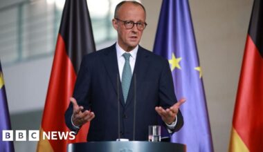 France and Germany lead downbeat EU response to US trade deal
