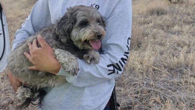 A dog who stayed with its owner after they died was rescued in Cochise County over the weekend, aut...