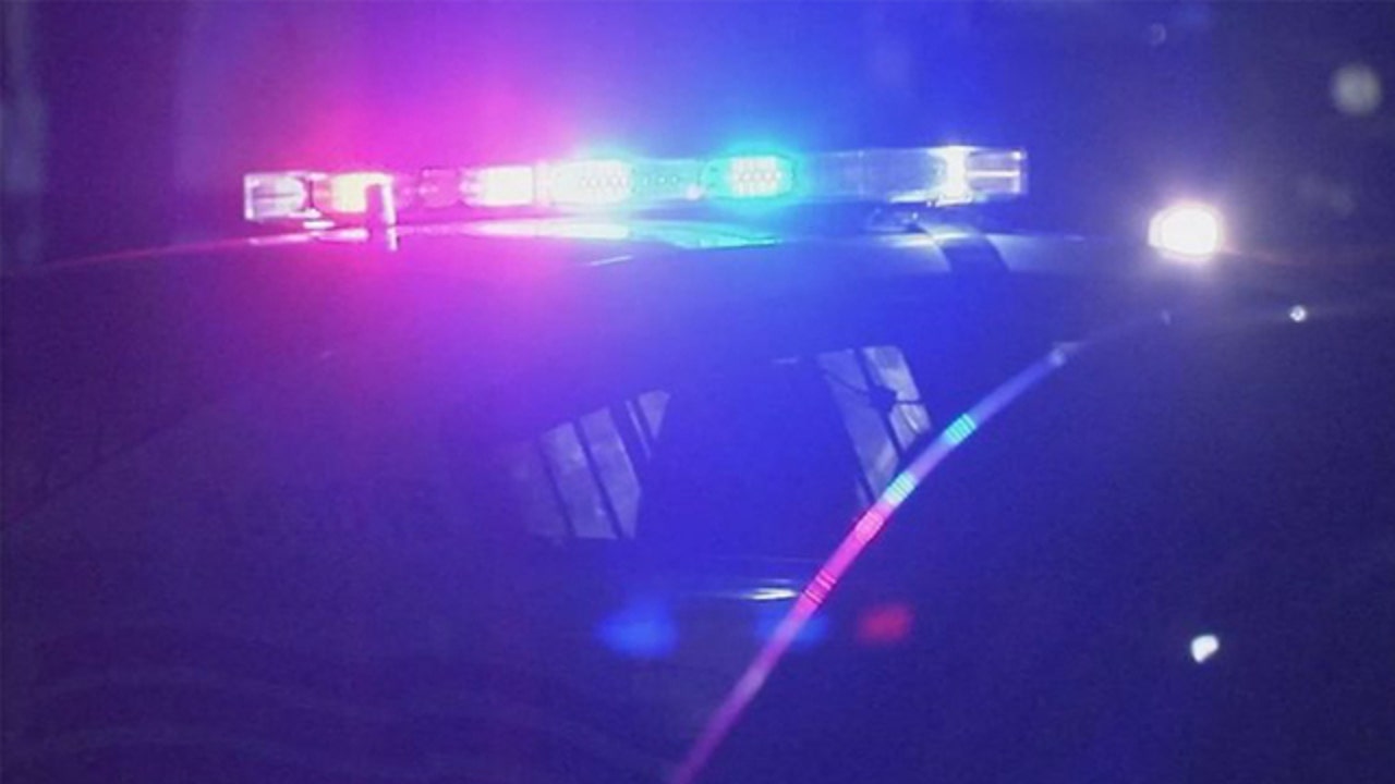 Chicago crime: Argument leads to fatal stabbing of 71-year-old man, police say