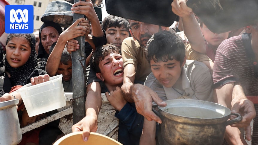Israel accuses Albanese of telling 'a lie' as a report warns famine is 'playing out' in Gaza