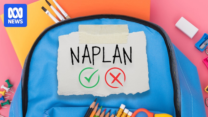 NAPLAN results again show one-third of students aren't meeting literacy and numeracy expectations amid calls for urgent change