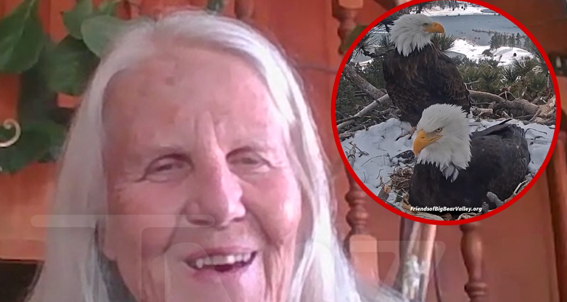 Wildlife Advocate Says Eaglets in Big Bear at Risk Because of 4th of July Fireworks