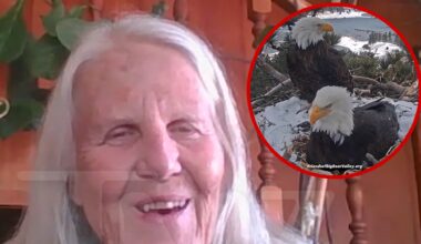 Wildlife Advocate Says Eaglets in Big Bear at Risk Because of 4th of July Fireworks