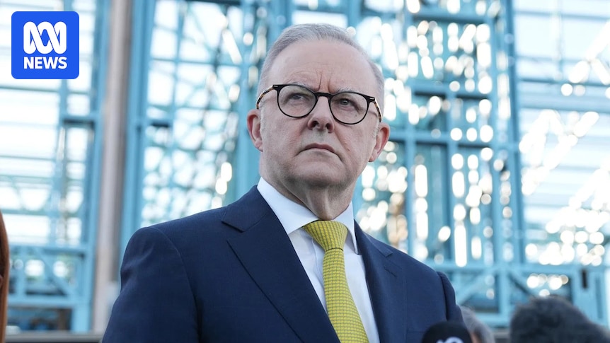 Anthony Albanese to meet business leaders in Shanghai for green steel roundtable