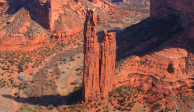 Explore Arizona's rich heritage with new Passport250 mobile pass | Arizona News