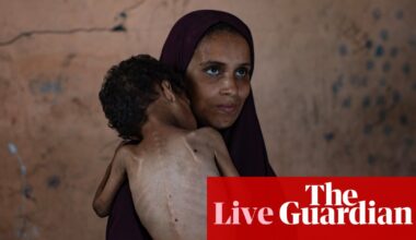 Gaza needs to be ‘flooded with large-scale food aid’ to prevent mass starvation, says World Food Programme – Middle East crisis live | Middle East and north Africa