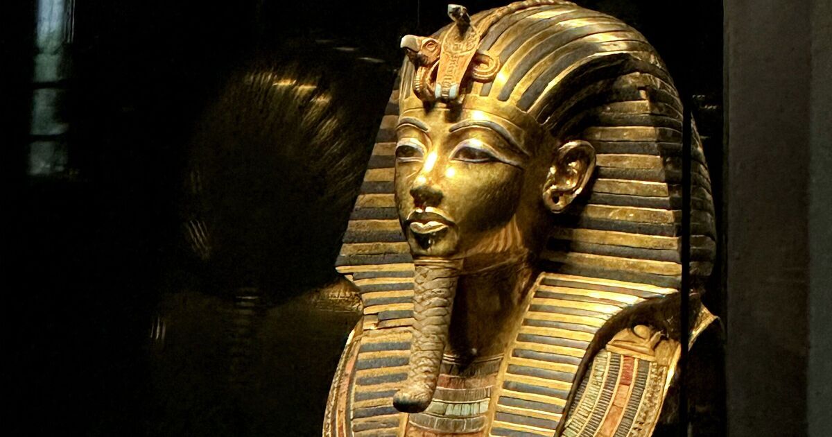 Tutankhamun breakthrough as scientists discover 1 thing about 'pharaoh's curse' | History | News