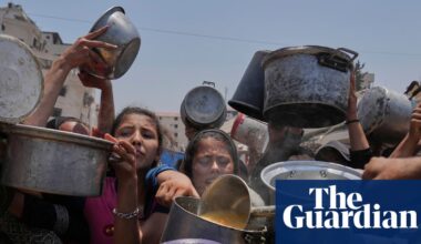 Israeli public figures call for ‘crippling sanctions’ on Israel over Gaza starvation | Gaza