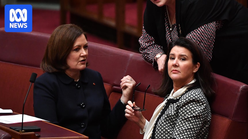 Sussan Ley's authority tested as Liberals stamp their feet