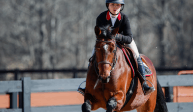 Georgia equestrian releases 2025–26 schedule as title defense begins | Georgia Sports