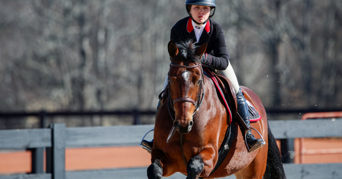 Georgia equestrian releases 2025–26 schedule as title defense begins | Georgia Sports
