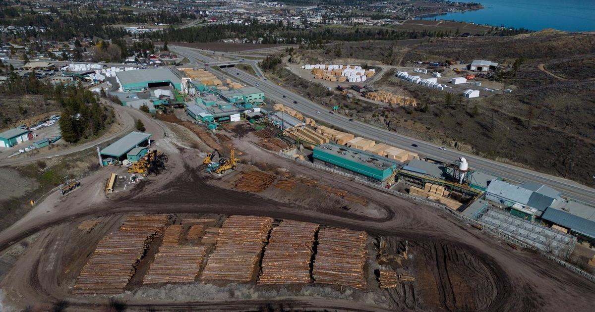 U.S. imposing 20.56% anti-dumping duties on Canadian softwood - Toronto Star