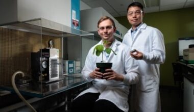 Invention Improves ‘Gene Gun,’ Targets Efficiency Gains in Plant Research