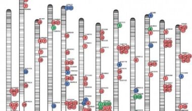 Genetics Behind the Crunch: A Blueprint for Better Blueberries