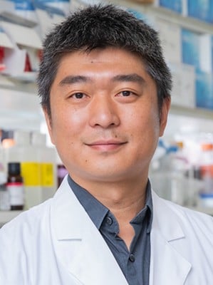 Ridding Cells of Mitochondria Sheds Light on Their Function