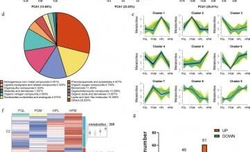 Breaking the code of pig aggression: GABA identified as key regulator