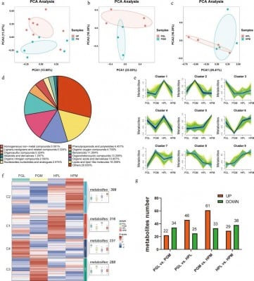 Breaking the code of pig aggression: GABA identified as key regulator