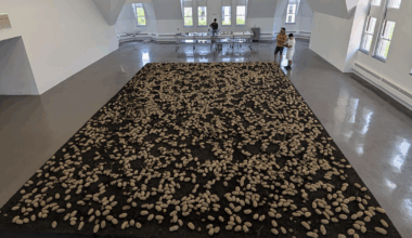 Potato activated time: ‘Germinations’ at the Renaissance Society | Arts & Entertainment
