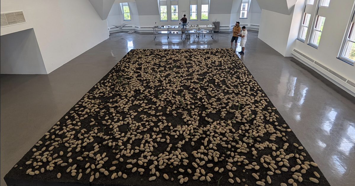 Potato activated time: ‘Germinations’ at the Renaissance Society | Arts & Entertainment