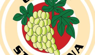 St. Helena wrestles with unfunded pension obligations | News