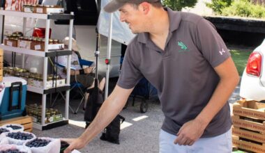 Downtown Arlington Farmers Market vendors share process, stories | City