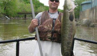 Town hosts 'Occoquan Snakehead Roundup' | Headlines