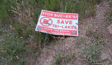 Palmer Lake releases terms of Buc-ee's annexation agreement | Local News
