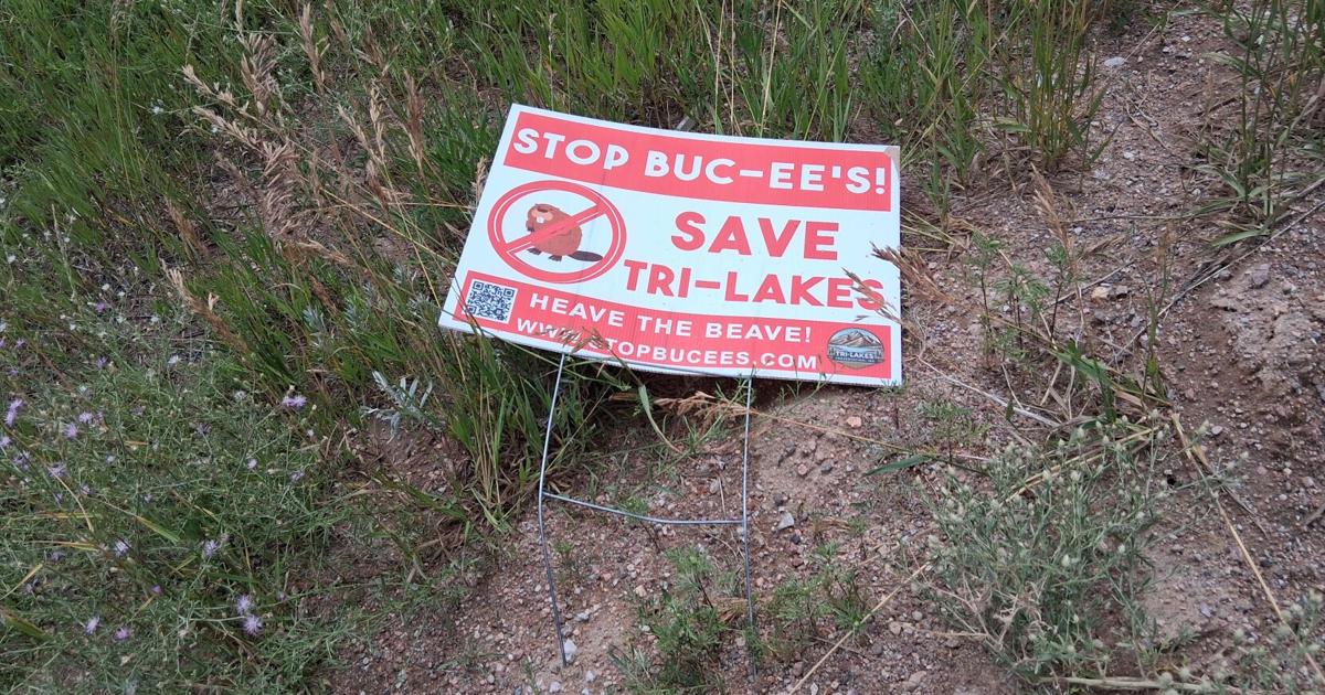 Palmer Lake releases terms of Buc-ee's annexation agreement | Local News