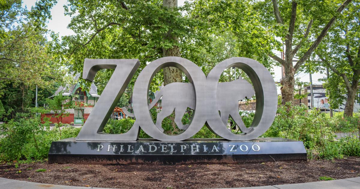 Out and About: What's Happening in Philly | Lifestyle