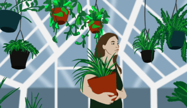The Bloomverse Expo to bring rare plants, local vendors and more to Arlington | News