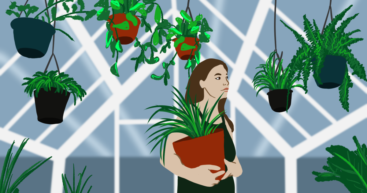 The Bloomverse Expo to bring rare plants, local vendors and more to Arlington | News