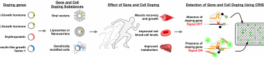 Developing Next-Generation Analytical Technique for Gene and Cell Doping and Ensuring Ethics and Fairness in Sports
