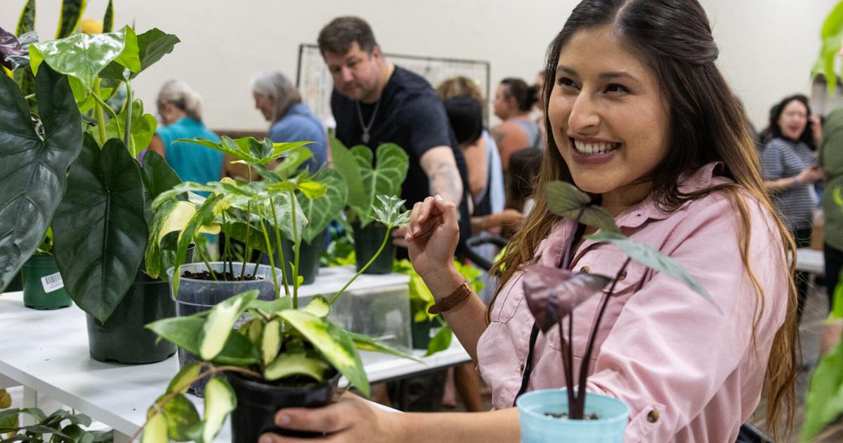 The Bloomverse Expo sprouts community, inclusivity in Arlington | News