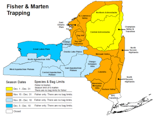 Proposed fisher and marten seasons for 2026-2027