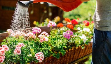 Drought status declared in eight counties as heatwave conditions expected this week – The Irish Times