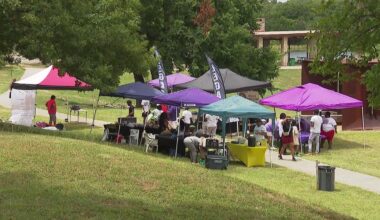 Como neighborhood in Fort Worth prepares for annual celebration – NBC 5 Dallas-Fort Worth