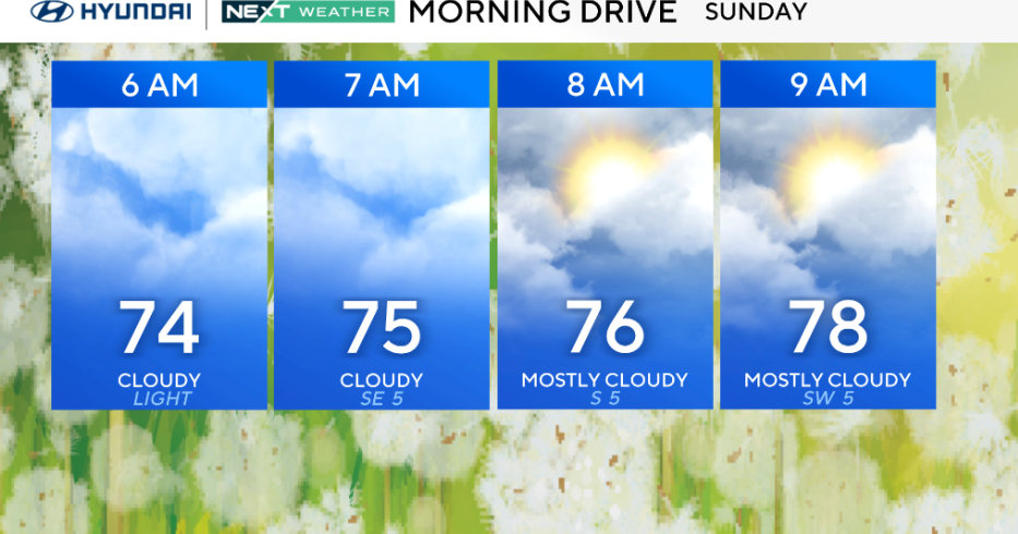Mostly sunny Sunday with an isolated shower or storm in the Philadelphia region. Here's the forecast.