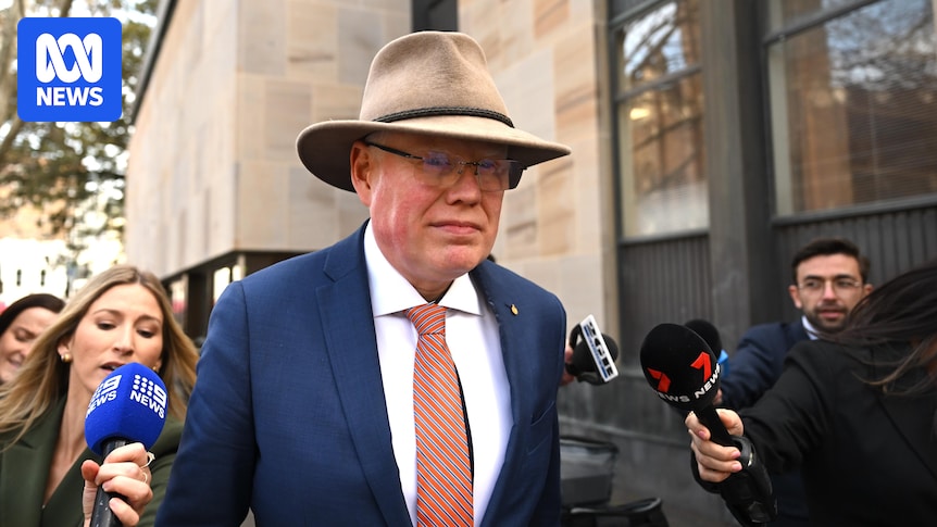 NSW MP Gareth Ward likely to be removed from parliament after conviction for sex crimes