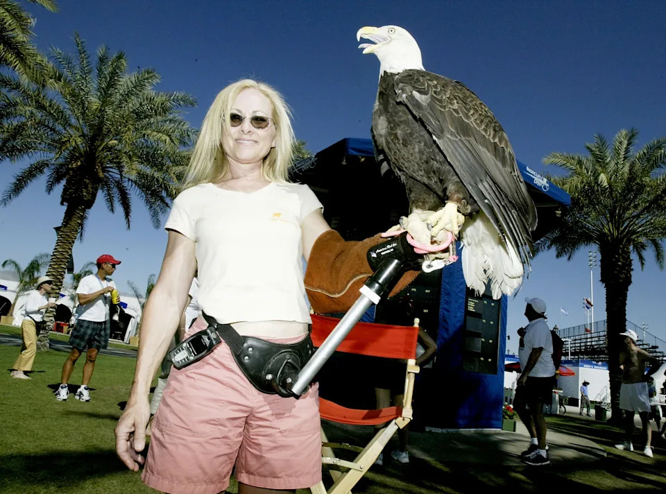 A rescued bald eagle on display by the Ojai Rapter Center during the Pacific Life Open, March 16, 2004, at the Indian Wells Tennis Garden in Indian Wells, California