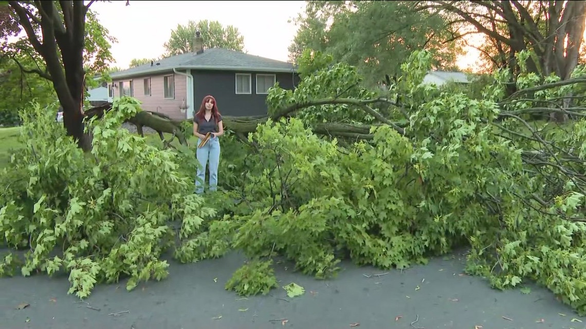 Who is responsible for tree clean up after a storm?