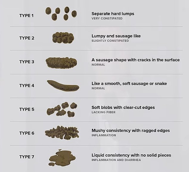 Doctors often refer to the Bristol Stool Chart in clinical practice to assess the health of a person's bowel movements