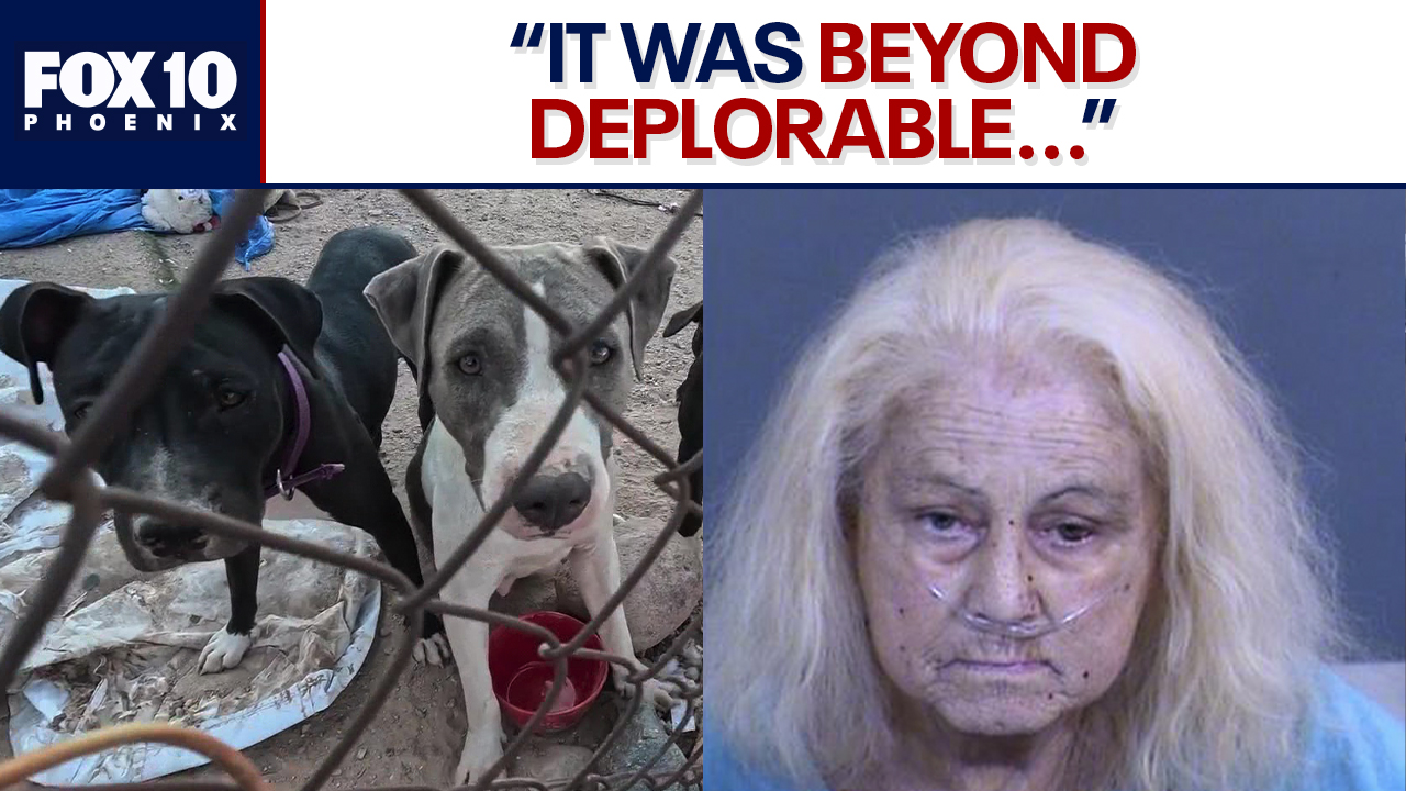 Litchfield Park woman accused of neglecting dogs