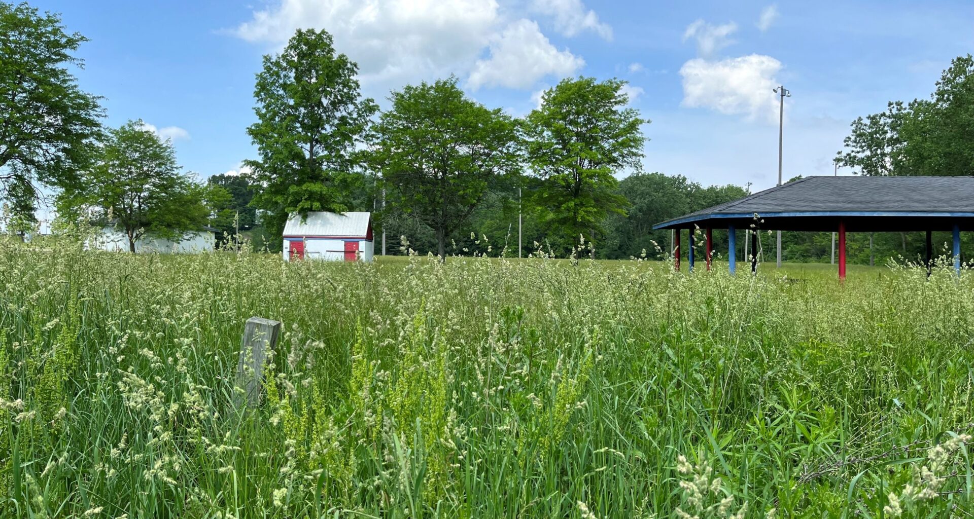 Niss purchases former Hamilton Park for $50K, plans 9-hole golf course on site