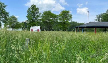 Niss purchases former Hamilton Park for $50K, plans 9-hole golf course on site